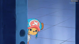 ワンピースアニメ パンクハザード編 598話 チョッパー かわいい Tony Tony Chopper | ONE PIECE Episode 598