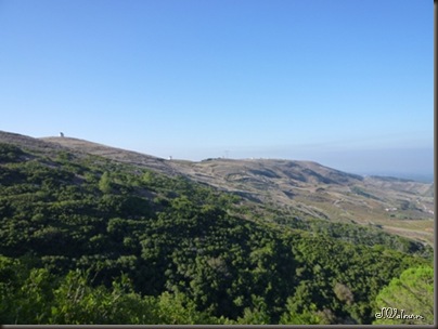 P1040277