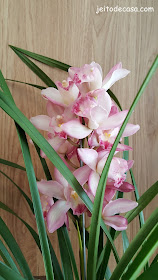 orquidea-na -decor