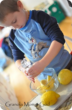 preserving lemons 006
