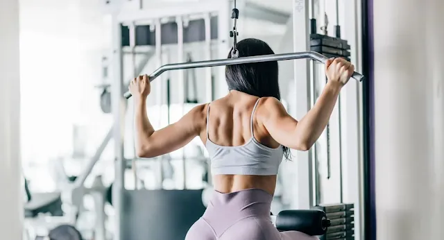 Top 6 Back Exercises