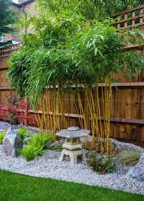 Um jardim zen, também conhecido como jardim de pedras, é uma forma de jardim japonês que consiste em uma área pequena e muitas vezes cercada por uma parede baixa, preenchida com areia ou cascalho, rochas e pedras. O objetivo é criar um espaço meditativo e contemplativo que possa ajudar a acalmar a mente e promover a tranquilidade.