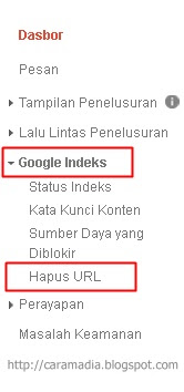 cara hapus postingan artikel blog dari indeks