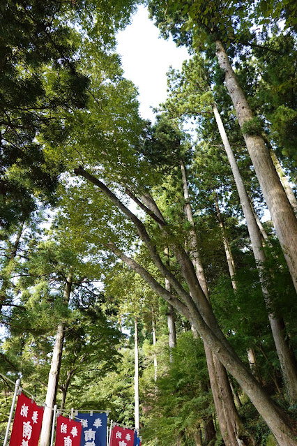 島根県出雲市小境町　一畑薬師　百八基灯篭