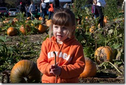 Punkin in the pumpkin patch