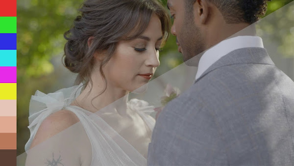 Gamut – Panasonic Conversion LUTs for V-Log - GraphicsMarket.net