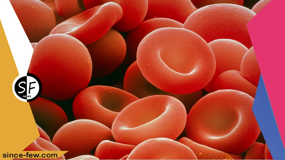 All You Need Tto Know about The Symptoms and Types of Hhereditary Thalassemia