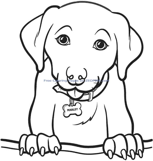  Stylist Design Ideas Printable Coloring Pages For Girls  Simple Coloring  Pages Girls Printable For 