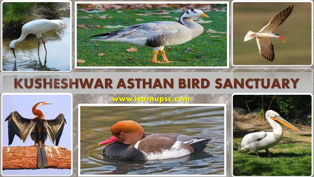 Kusheshwar Asthan Bird Sanctuary