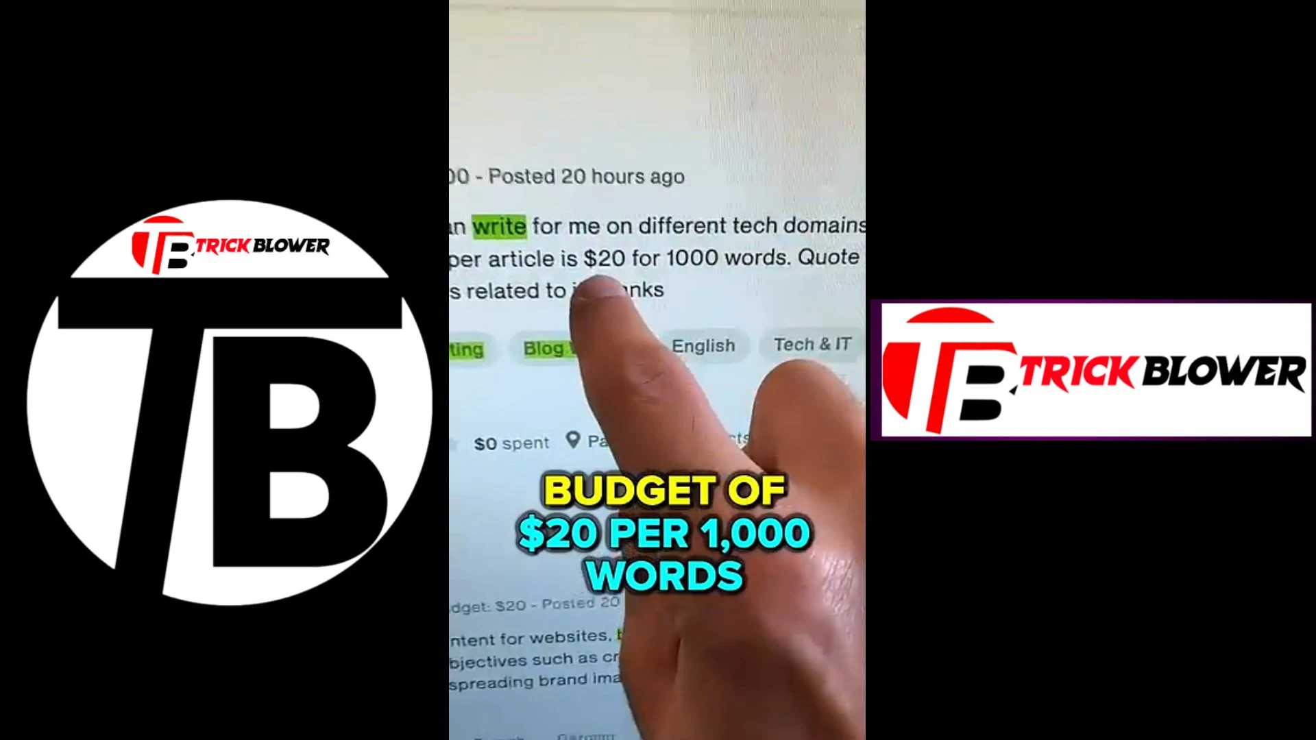 https://www.trickblower.com/2024/01/earn-money-sitting-at-home.html