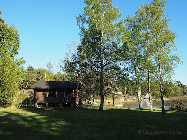 lingonberryhouse, nature, leisure home, luonto, kesä, kukat, mökki