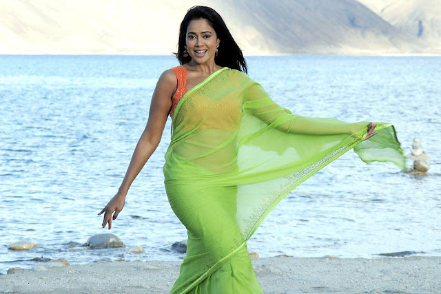 sameera reddy hot navel show in saree stills