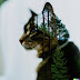 A cat with a double exposure of a forest