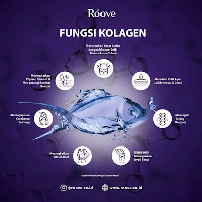 Fungsi kolagen untuk tubuh