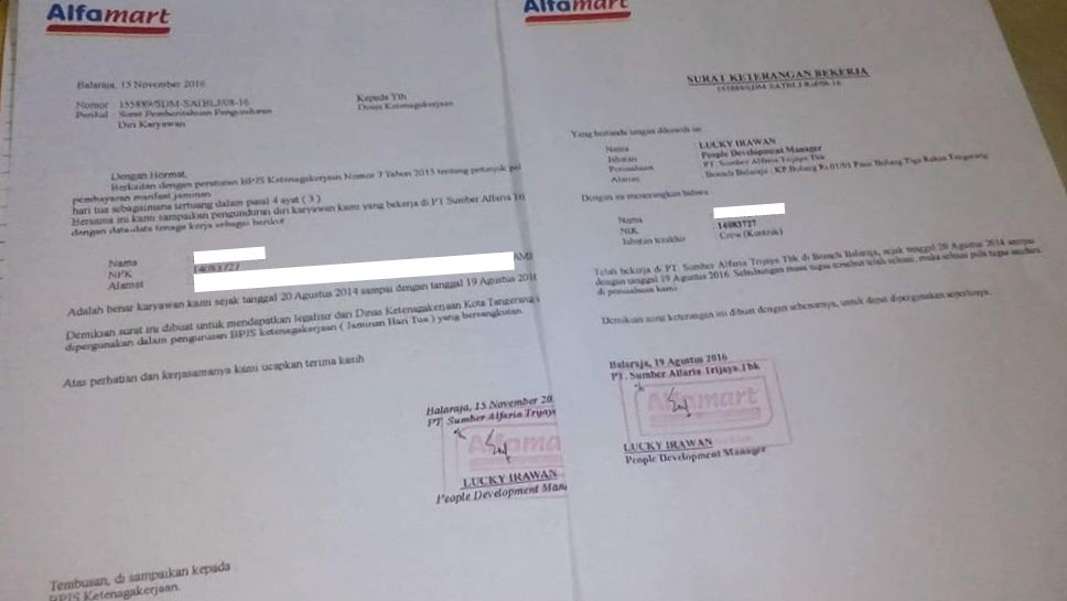 Contoh Surat Paklaring Alfamart Pt Sumber Alfaria Trijaya 2021