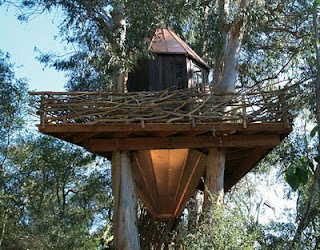 the concept of a tree house