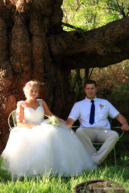 Wedding Photography in Bloemfontein by Gerhard Groenewald