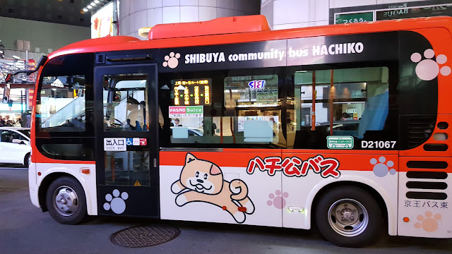 hachiko dog shibuya bus