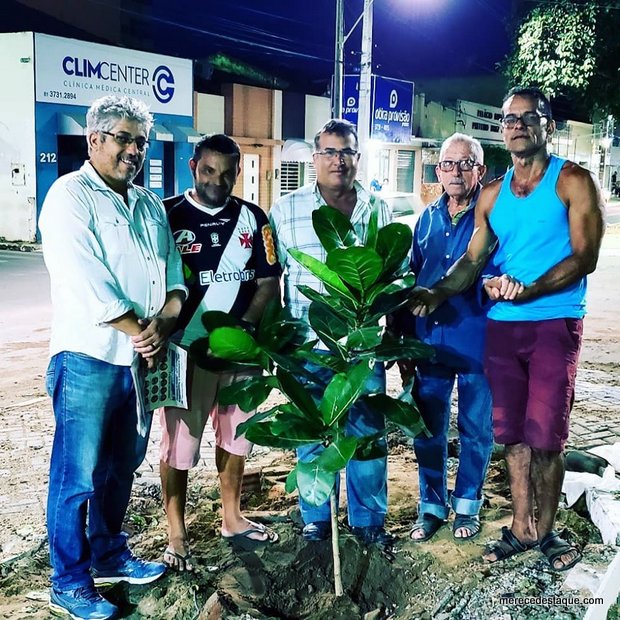 Nova Gameleira é plantada no lugar da que caiu esta semana em Santa Cruz do Capibaribe