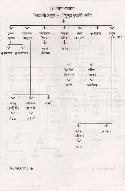 ঠাকুর পরিবারের শাখা (৪)