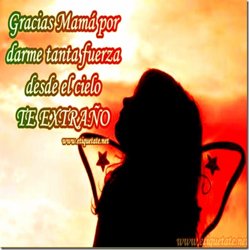 pizap.com1493956618350x1