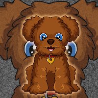 Games2Jolly Toy Poodle Do…