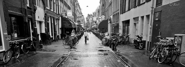 Amsterdam. Holanda, calle, bicicletas, Europa