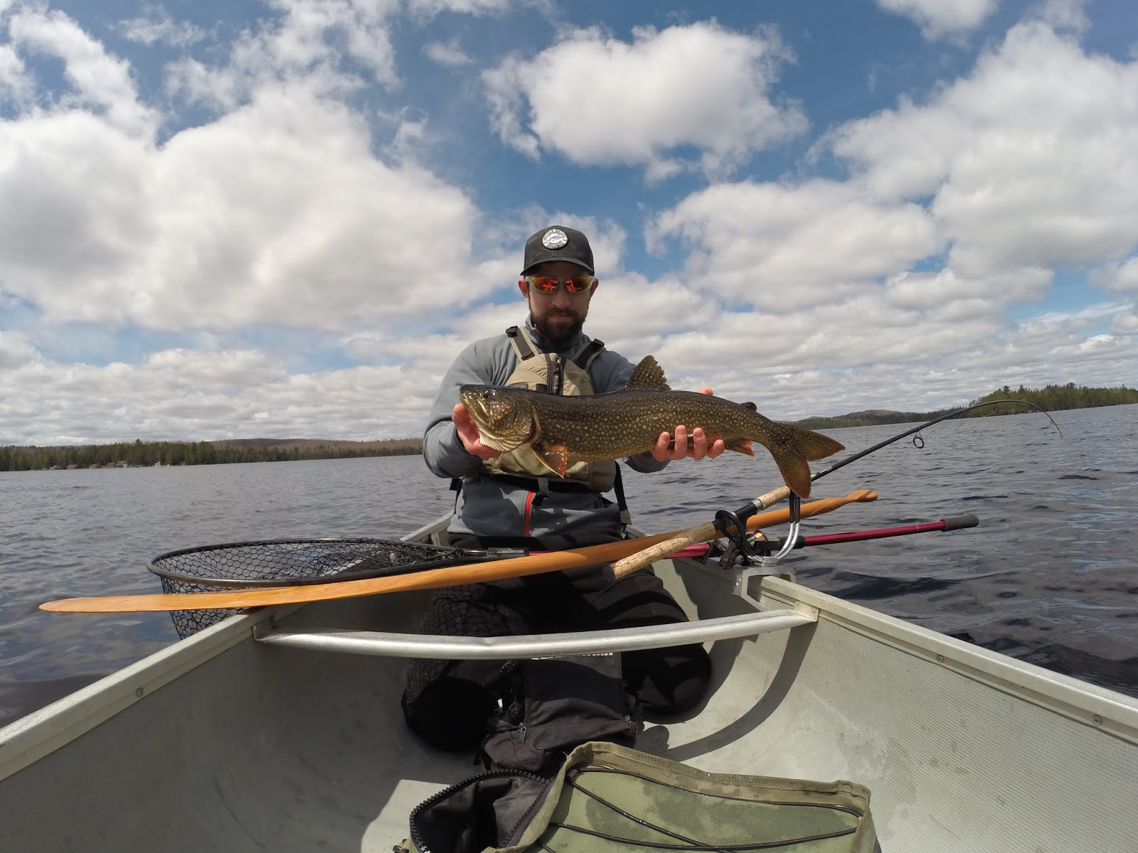 Greg Cholkan's Fishing Blog: Canoe Lake Algonquin Park Fishing