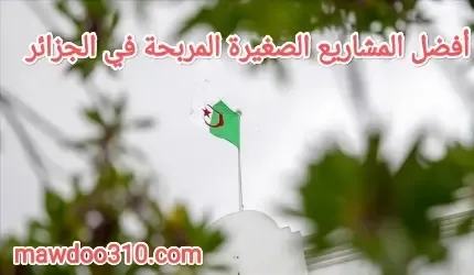 افضل المشاريع الصغيرة المربحة في الجزائر