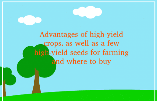 High-yield crops