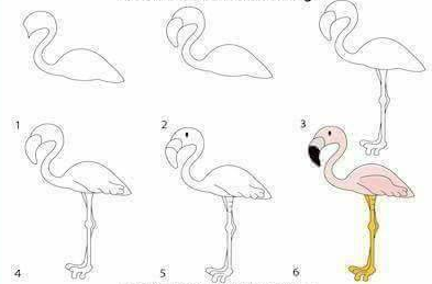 Cara Gampang  Menggambar Binatang Secara Sedikit Demi 