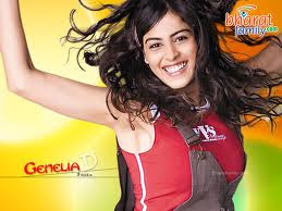 Genelia D'souza pics 2013