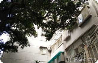 clip_image001