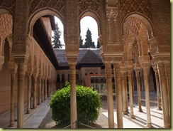 Cool Courtyard