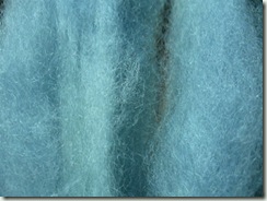 WoadWool_exhaustdip