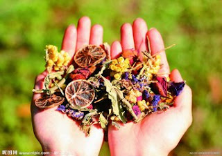 Chinese Medicine for CKD patients