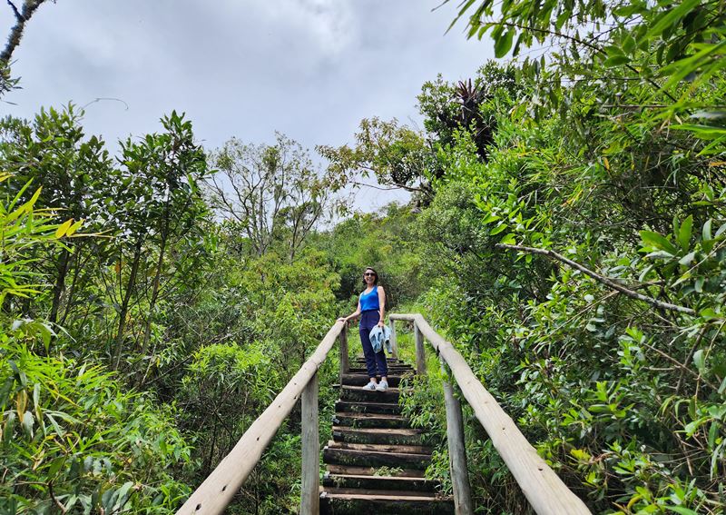 Trilha da Pedra Redonda Monte Verte