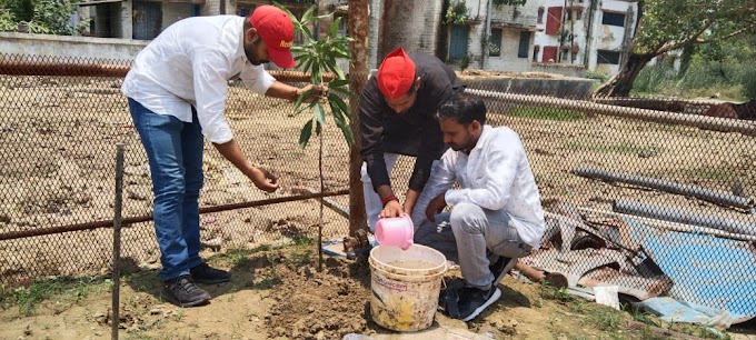 विश्व पर्यावरण दिवस: पौधरोपण कर पर्यावरण को बचाने का दिया संदेश