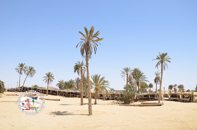 Dapur Mamasya: Trip ke Sharm El Sheik (Pt1) - Perigi Nabi Musa