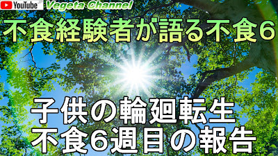 不食経験者が語る不食６ 子供の輪廻転生、不食６週目の報告