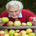 50 varieties of apple trees, a wonderful world