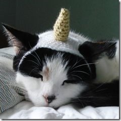 gato unicor io (1)