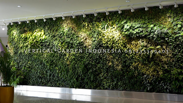 VERTICAL GARDEN INDONESIA SPESIALIS JASA PEMBUATAN VERTICAL GARDEN DI KLATEN JAWA TENGAH DAN DI SELURUH WILAYAH JAWA TENGAH DENGAN TENAGA YANG PROFESIONAL DAN DAPAT DI PERCAYA YANG SELALU MENGUTAMAKAN SEBUAH MUTU DAN KUALITAS PEMASANGAN VERTICAL GARDEN/TAMAN DINDING, JASA TUKANG TAMAN VERTICAL KLATEN JAWA TENGAH, JASA VERTICAL GARDEN KLATEN JAWA TENGAH