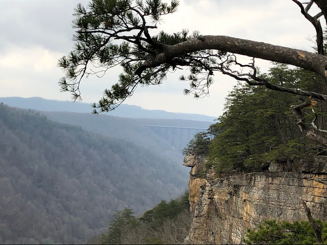 bridge over river gorge