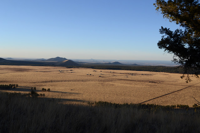 plains with houses