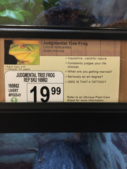 Meanwhile, at PetCo