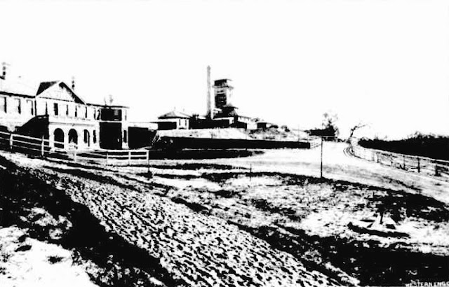 View Showing the Approach to the Claremont Asylum for the Insane, Western Australia, 1912