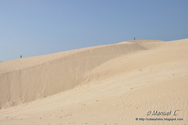 Duna de bolonia - Punta Camarinal - Cabo de Gracia