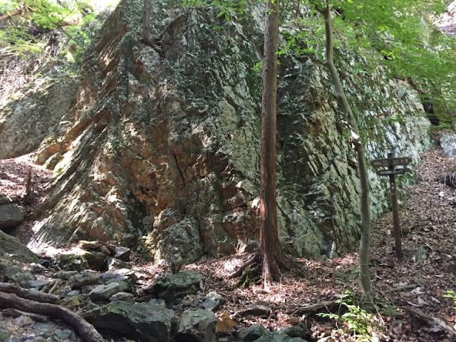 鳴神山の水場