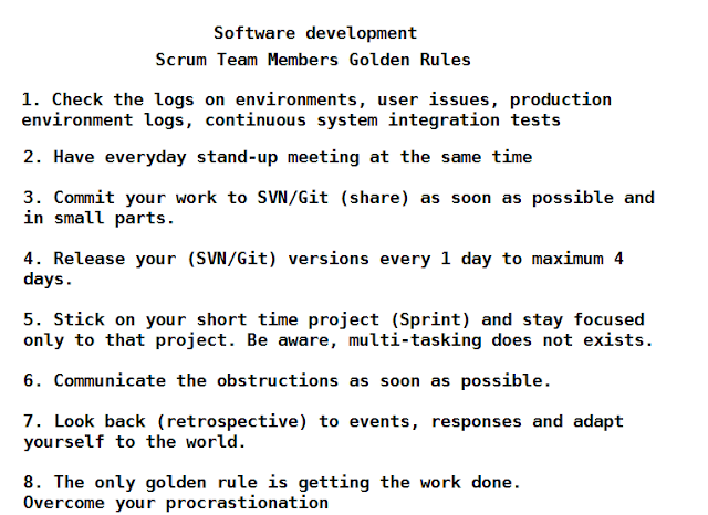 Scrum Team Member Golden Rules image